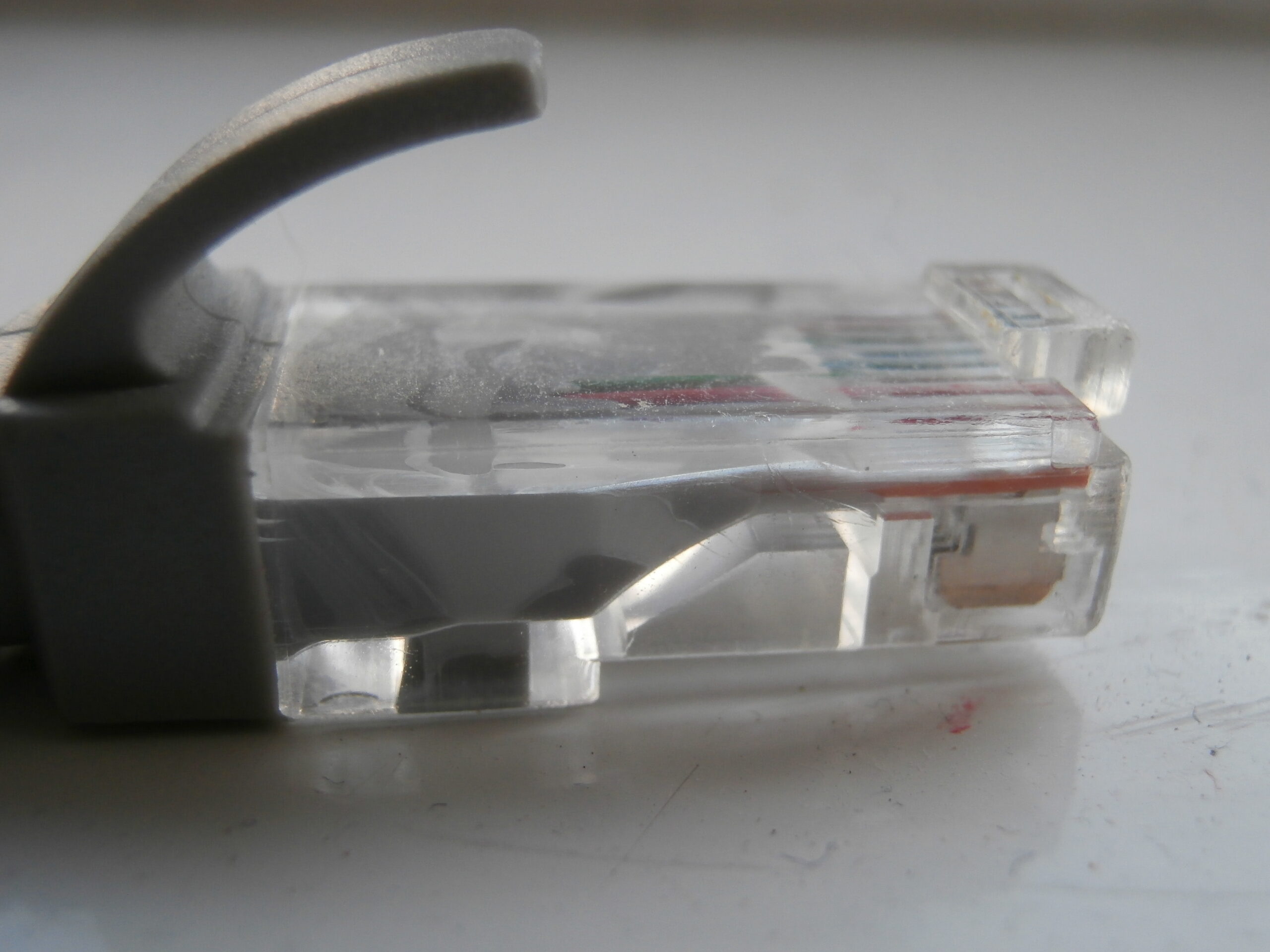 Close-up of an ethernet network cable, representing website speed and caching