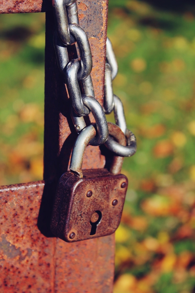 Close-up of a metal padlock and chain, representing website security