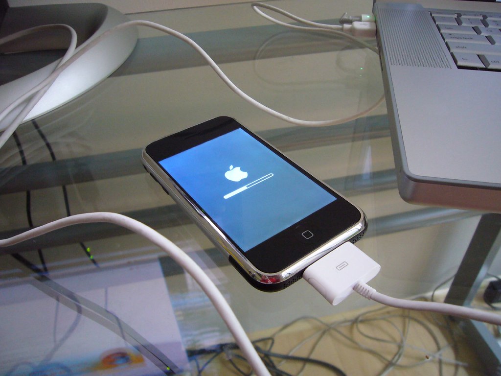 Software update screen representing a WordPress update workflow