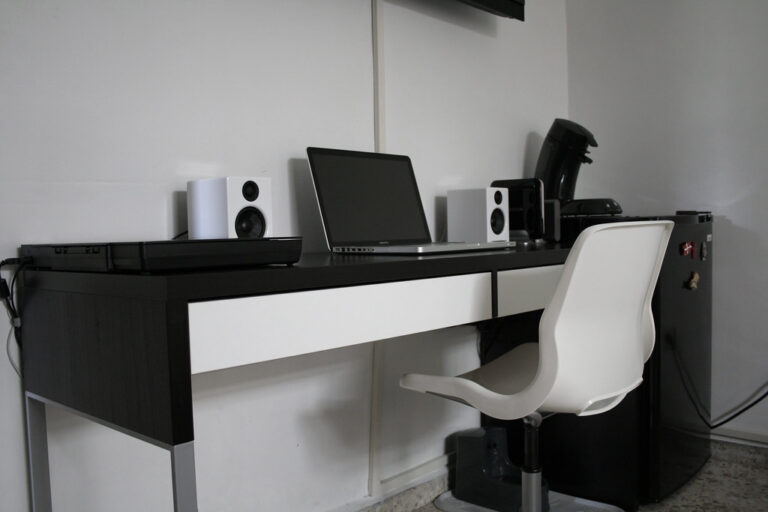 WordPress development workspace